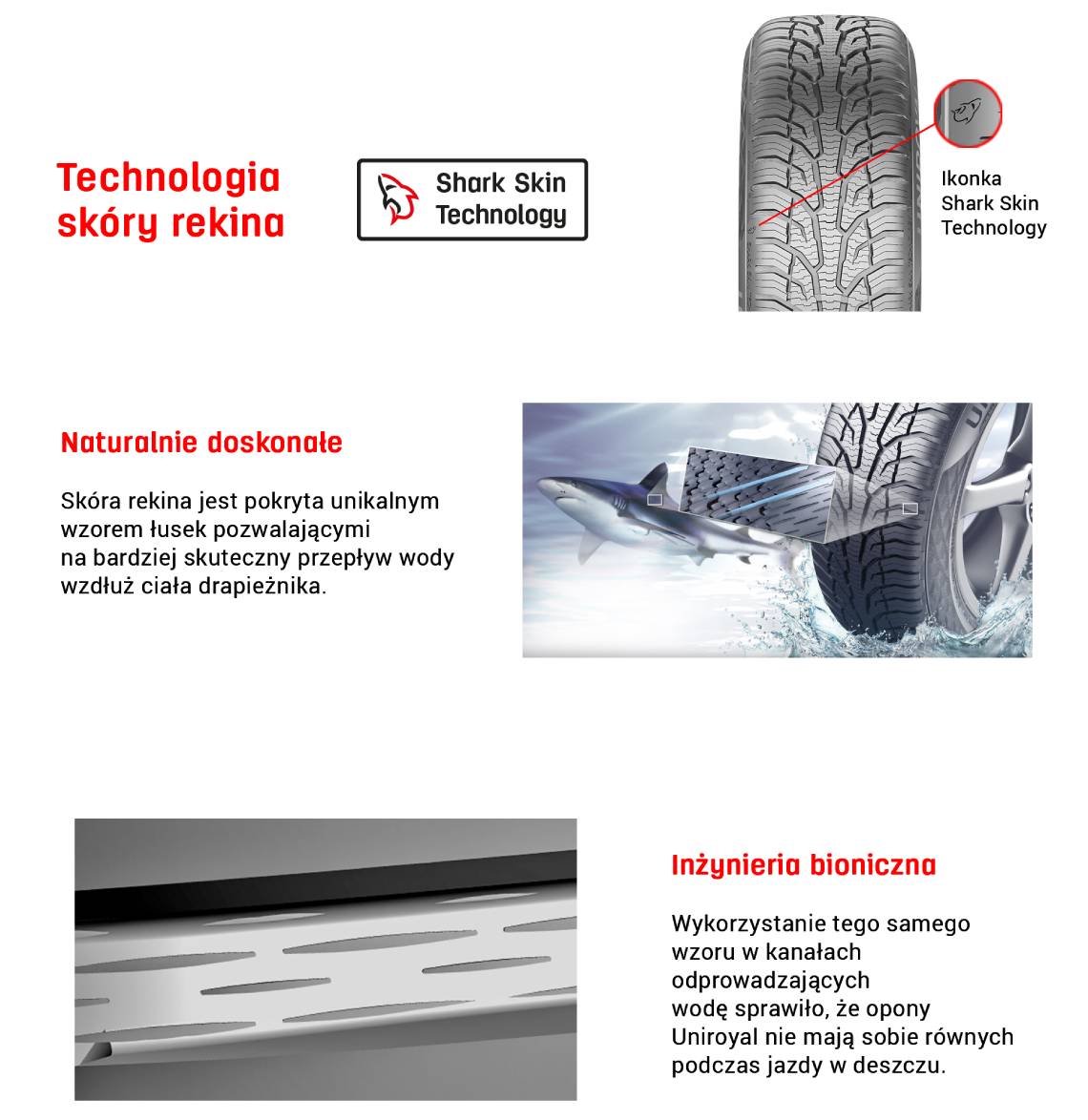 Skóra rekina
